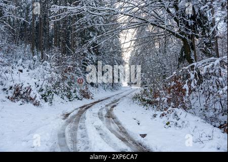 Alberi ricoperti di neve in una foresta con una strada sterrata in una giornata invernale a Spessart, Baviera, Germania. Con cartello "traffico agricolo e forestale libero" Foto Stock