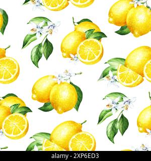 Nuovo motivo senza cuciture al limone. Illustrazione ad acquerello disegnata a mano, isolata su sfondo bianco Foto Stock