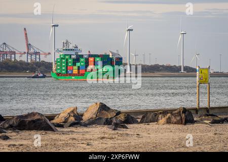 Europort, porto di Rotterdam, Olanda meridionale, Paesi Bassi - 15 novembre 2022: Una nave cargo che passa davanti all'ingresso del porto Foto Stock