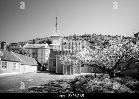 Viaggia verso e intorno a Bergen, Norvegia Foto Stock