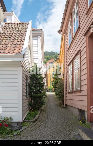 Viaggia verso e intorno a Bergen, Norvegia Foto Stock