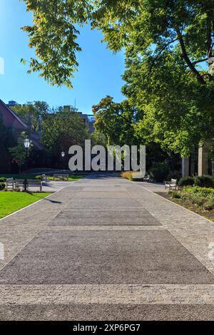 Impressioni dal campus dell'Università di Chicago nel Southside di Chicago, Illinois, USA nel settembre 2014. Foto Stock