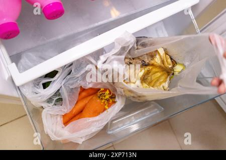 La mano di un uomo apre un sacchetto di plastica contenente il cavolo viziato, e accanto ad esso c'è un sacchetto contenente carote germogliate. Foto Stock