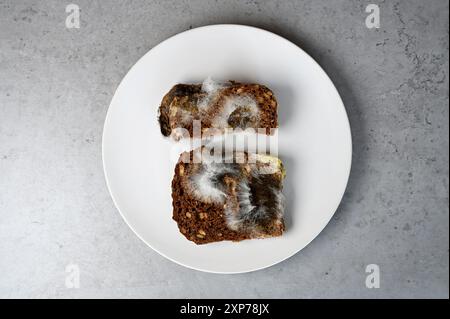 Muffa su pane vecchio scaduto Foto Stock