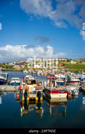 Whalsay è la sesta più grande delle isole Shetland nel nord della Scozia. Conosciuta come "l'isola di bonnie" con una grande flotta di pesca pelagica Foto Stock