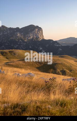 Campeggio selvaggio con un romantico scenario nella natura di Durmitor in Montenegro Foto Stock