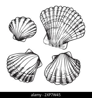 illustrazione del profilo seashell. Insieme di vettori conchiglie. Illustrazioni disegnate a mano con una linea incisa. Collezione di schizzi realistici vari molluschi marini Illustrazione Vettoriale