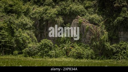 Natura viaggi Vietnam attrazioni natura paesaggio di Tam Coc-Bich Dong in Vietnam Foto Stock