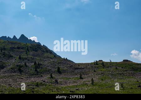 Veduta della strada del Colle della Lombarda da da Vinadio in Piemonte Foto Stock