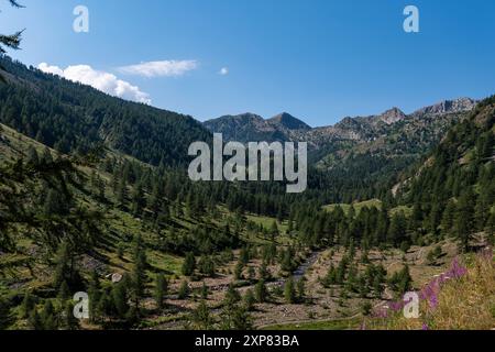 Veduta della strada del Colle della Lombarda da da Vinadio in Piemonte Foto Stock