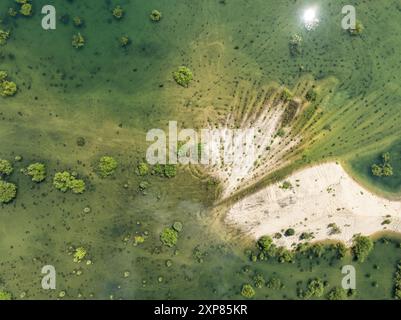 Foresta sommersa in un lago. Sabbia sommersa con acqua cristallina a Klucze, Polonia. Vista aerea del drone della fossa di sabbia allagata. Un lago artificiale dopo Foto Stock