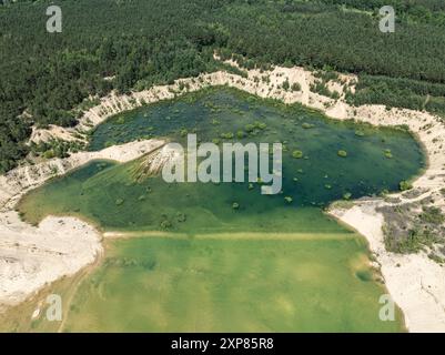 Foresta sommersa in un lago. Sabbia sommersa con acqua cristallina a Klucze, Polonia. Vista aerea del drone della fossa di sabbia allagata. Un lago artificiale dopo Foto Stock