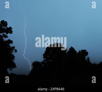 Foresta pesante stagliata dal cielo blu pieno di pioggia mentre un singolo fulmine lampeggia verso il suolo in North Carolina. Foto Stock