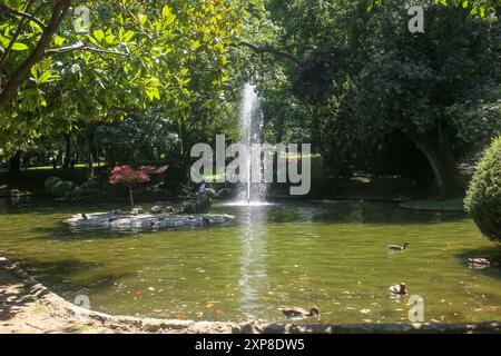 Oviedo, Spagna, 4 agosto 2024: Lo stagno delle anatre nel Parco di San Francisco durante la vita quotidiana a Oviedo, il 4 agosto 2024, a Oviedo, Spagna. Crediti: Alberto Brevers / Alamy Live News. Foto Stock