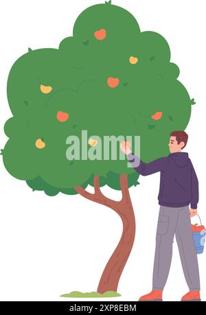 Uomo che raccoglie mele dall'albero. Icona della frutta da giardino isolata su sfondo bianco Illustrazione Vettoriale