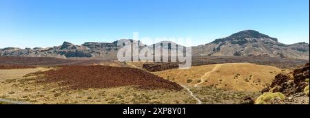 Vista panoramica del paesaggio vulcanico del Parco Nazionale del Teide a Tenerife. Isole Canarie, Spagna Foto Stock