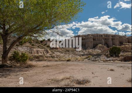 Scogliere di tufo vulcanico e un lavaggio a secco vicino ad Abiquiu, New Mexico Foto Stock