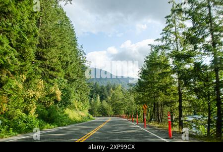 Strada del parco del lago Cultus fiancheggiata da pini a Chilliwack, Fraser Valley, British Columbia, Canada Foto Stock