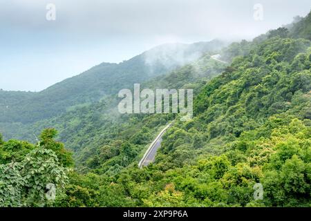 Nebbia e discesa attraverso la foresta primordiale in cima al passo di hai Van. Questo è il passo più pericoloso del Vietnam, situato tra le due province Foto Stock