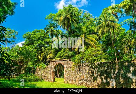 Vecchie rovine della famigerata colonia penale dell'isola di Saint Joseph, delle Isole della salvezza, della Guyana francese, del Sud America Foto Stock