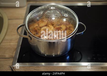 Pentola in acciaio inox con coperchio in vetro contenente alimenti sospesi su un piano cottura a induzione. Piano di appoggio della cucina con lavello sullo sfondo. Foto Stock