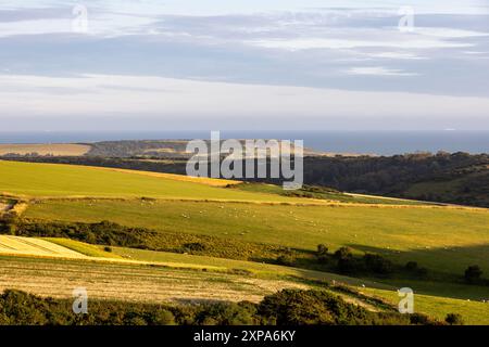 Affacciato sulle South Downs verso la costa del Sussex, con luce serale Foto Stock