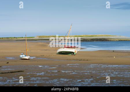 Barche con bassa marea sulle distese fangose dello Skern nell'estuario di Taw e Torridge a Appledore, Devon, Inghilterra. Foto Stock