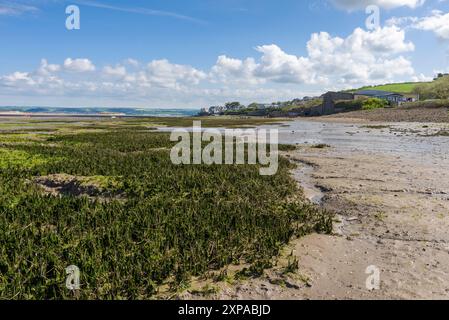 Le distese fangose di Skern ad Appledore nell'estuario di Taw e Torridge sulla costa del Devon settentrionale con la bassa marea, in Inghilterra. Foto Stock