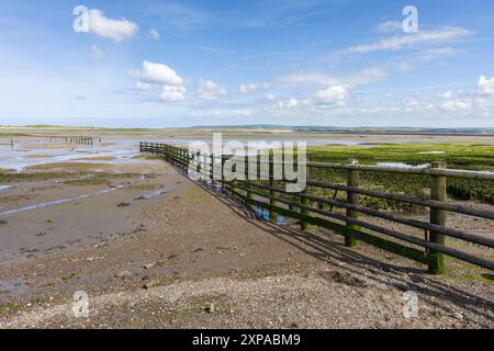 Le distese fangose di Skern ad Appledore nell'estuario di Taw e Torridge sulla costa del Devon settentrionale con la bassa marea, in Inghilterra. Foto Stock