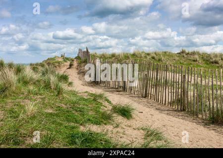 Le dune di sabbia ai margini del Northam Burrows Country Park vicino a Westward ho! spiaggia sul paesaggio nazionale della costa del Devon settentrionale, Inghilterra. Foto Stock