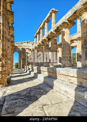 Le rovine di Paestum sono famose per i loro tre antichi templi greci in ordine dorico, databili tra il 550 e il 450 a.C. circa Foto Stock