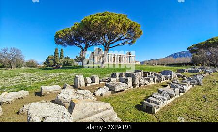 Le rovine di Paestum sono famose per i loro tre antichi templi greci in ordine dorico, databili tra il 550 e il 450 a.C. circa Foto Stock