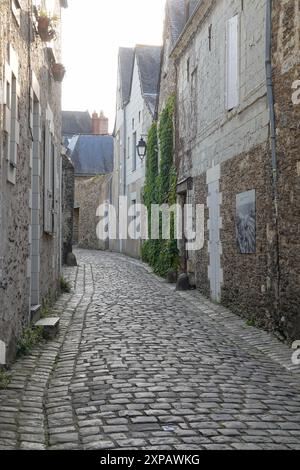 Angers, historisches Zentrum // Angers, centro storico Foto Stock