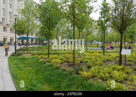 Parigi, Place de Catalogne, Mikrowald, Stadtwald // Parigi, Place de Catalogne, piccola foresta Foto Stock