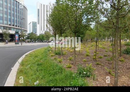 Parigi, Place de Catalogne, Mikrowald, Stadtwald // Parigi, Place de Catalogne, piccola foresta Foto Stock