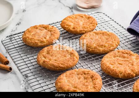 Biscotti snickerdoodle appena sfornati rinfrescanti su una griglia metallica Foto Stock