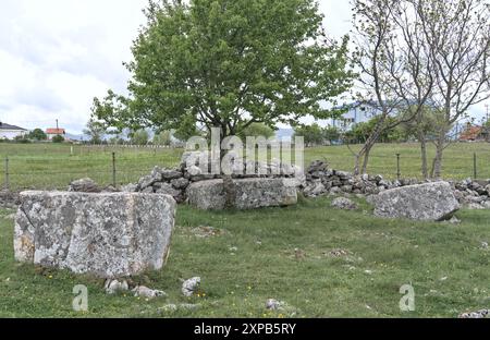 Begovača, Livno, Bosnia ed Erzegovina - maggio 2023: Lapide medievale di Stećak ('Begovača 2/Mašet'). Ci sono più di 70.000 di queste tombe di Stećak Foto Stock