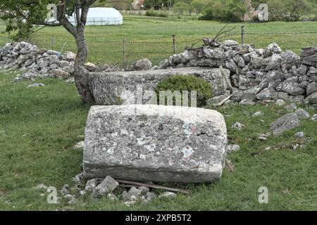 Begovača, Livno, Bosnia ed Erzegovina - maggio 2023: Lapide medievale di Stećak ('Begovača 2/Mašet'). Ci sono più di 70.000 di queste tombe di Stećak Foto Stock