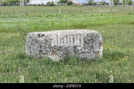 Begovača, Livno, Bosnia ed Erzegovina - maggio 2023: Lapide medievale di Stećak ('Begovača 2/Mašet'). Ci sono più di 70.000 di queste tombe di Stećak Foto Stock