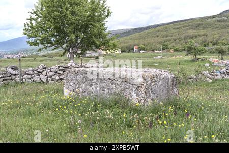 Begovača, Livno, Bosnia ed Erzegovina - maggio 2023: Lapide medievale di Stećak ('Begovača 2/Mašet'). Ci sono più di 70.000 di queste tombe di Stećak Foto Stock