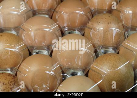 Uova di pollo crude in confezione di polietilene tereftalato (PET o PETE) con luce naturale. Foto Stock