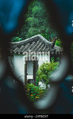 Uno scorcio di un tradizionale giardino Cinese a Suzhou, che presenta una struttura dalle pareti bianche con un tetto piastrellato e un lussureggiante cortile verde. Foto Stock