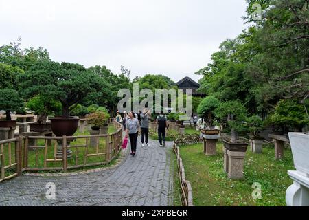 Suzhou, Cina - 11 giugno 2024: Un sentiero in pietra fiancheggiato da recinzioni di bambù si snoda attraverso un lussureggiante giardino cinese. I visitatori passeggiano tra gli alberi di bonsai in vasi, Foto Stock