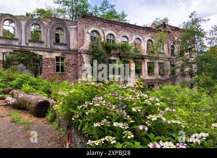 Scuola abbandonata in rovina nella città di Akarmara, città di Tkvarcheli, Abkhazia. Vecchio edificio ricoperto di piante verdi, erba in estate. Concetto di guerra, grunge, Foto Stock