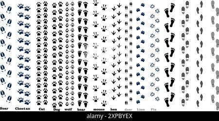 Set di linee per impronte umane e animali. Vettore Illustrazione Vettoriale