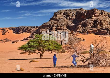 Splendido paesaggio del deserto del Sahara in Algeria con rocce e dune di sabbia. I tuaregi sono nativi del deserto che tagliano legna secca per un fuoco Foto Stock