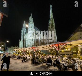 Vienna, Austria. 8 maggio 2024. Vista notturna della cattedrale di Santo Stefano sullo Stephansplatz di Vienna. È una chiesa cattedrale dal 1365, una cattedrale dal 1469/1479 e una chiesa metropolitana dell'arcivescovo di Vienna dal 1723. Credito: Markus Scholz/dpa/Alamy Live News Foto Stock