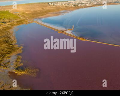 La vista aerea dei droni mostra le surreali acque rosa-gomme della Laguna Salada de Torrevieja, conosciuta come il Lago Rosa o Laguna Rosa, a Torrevieja, sulla Costa Blanca spagnola. Questa vasta laguna salata nella riserva naturale di Las Salinas de Torrevieja deve la sua sorprendente tonalità ai batteri halobatterio e alle alghe Dunaliella salina che prosperano in estrema salinità. Parte di una zona umida protetta che produce grandi quantità di sale marino, il rosa vivace contrasta drammaticamente con i campi verdi circostanti e il lontano Mar Mediterraneo, creando uno spettacolo naturale ipnotizzante popolare tra visitatori e fotografi. Foto Stock