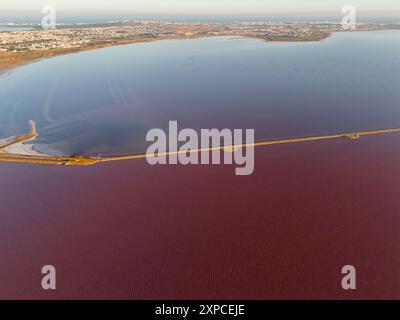 La vista aerea dei droni mostra le surreali acque rosa-gomme della Laguna Salada de Torrevieja, conosciuta come il Lago Rosa o Laguna Rosa, a Torrevieja, sulla Costa Blanca spagnola. Questa vasta laguna salata nella riserva naturale di Las Salinas de Torrevieja deve la sua sorprendente tonalità ai batteri halobatterio e alle alghe Dunaliella salina che prosperano in estrema salinità. Parte di una zona umida protetta che produce grandi quantità di sale marino, il rosa vivace contrasta drammaticamente con i campi verdi circostanti e il lontano Mar Mediterraneo, creando uno spettacolo naturale ipnotizzante popolare tra visitatori e fotografi. Foto Stock