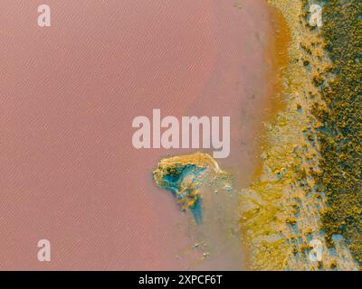 La vista aerea dei droni mostra le surreali acque rosa-gomme della Laguna Salada de Torrevieja, conosciuta come il Lago Rosa o Laguna Rosa, a Torrevieja, sulla Costa Blanca spagnola. Questa vasta laguna salata nella riserva naturale di Las Salinas de Torrevieja deve la sua sorprendente tonalità ai batteri halobatterio e alle alghe Dunaliella salina che prosperano in estrema salinità. Parte di una zona umida protetta che produce grandi quantità di sale marino, il rosa vivace contrasta drammaticamente con i campi verdi circostanti e il lontano Mar Mediterraneo, creando uno spettacolo naturale ipnotizzante popolare tra visitatori e fotografi. Foto Stock